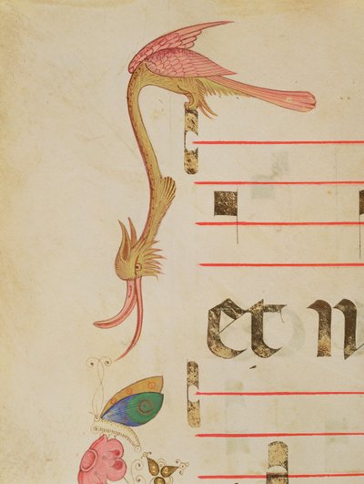 Missaal 515 f.9r Fantastische vogel die een vlinder jaagt, detail van decoratieve rand uit een Koorboek uitgevoerd voor 1449 door Filippo di Matteo Torelli